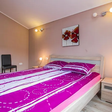 Pet Friendly In Labin With Wifi
